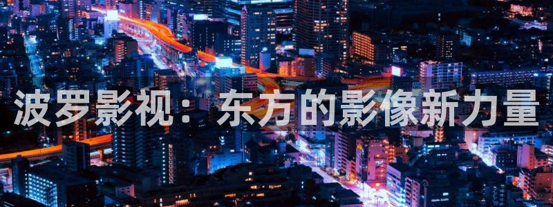 大地英豪电影：波罗影视：东方的影像新力量