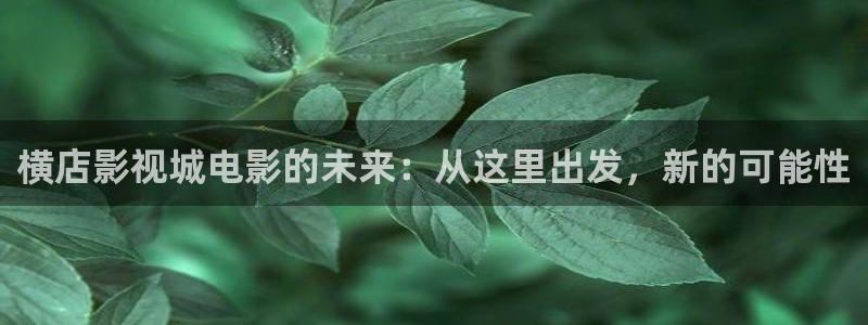 大地影院mv在线观看高清：横店影视城电影的未来：从这里出发，新的可能性