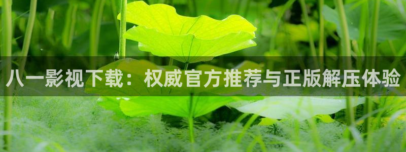 合肥大地影院港澳广场：八一影视下载：权威官方推荐与正版解压体验