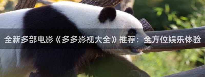 庐江大地影城今日影讯：全新多部电影《多多影视大全》推荐：全方位娱乐体验
