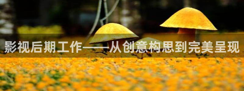 盂县大地影城：影视后期工作——从创意构思到完美呈现