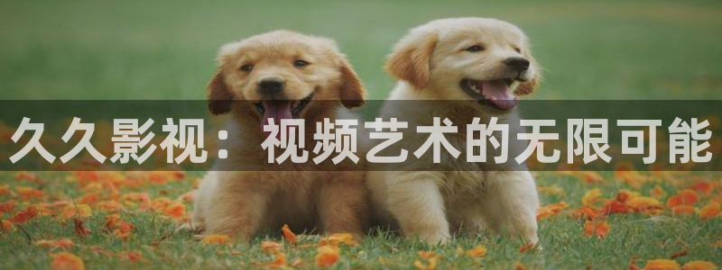 大地二电影在线观看免费：久久影视：视频艺术的无限可能