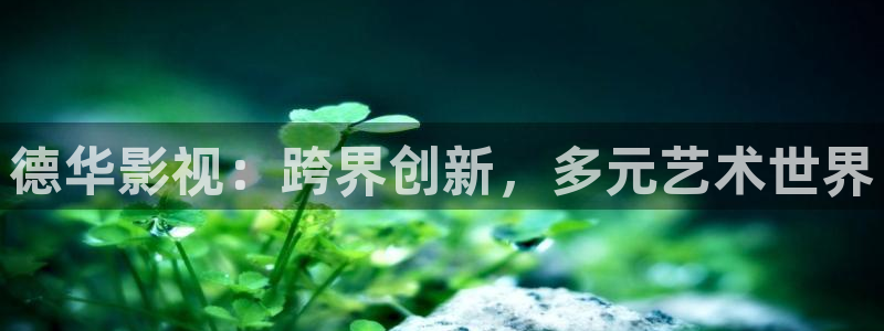 大地影视资源免费观看：德华影视：跨界创新，多元艺术世界