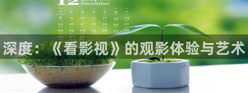 大地资源在线观看免费高清一：深度：《看影视》的观影体验与艺术
