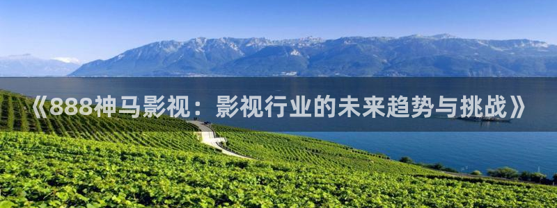 六安大地影院：《888神马影视：影视行业的未来趋势与挑战》